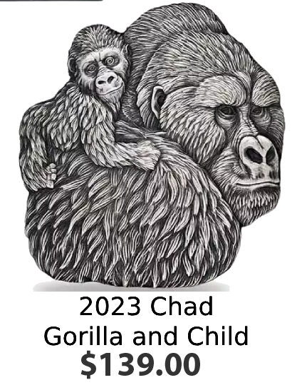 2023 Chad | Gorilla and Child